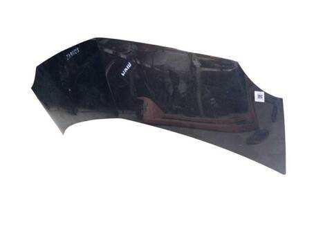 Foto 2ª: Capot Renault Modus 1.6 JP03 JP0B JP0U JP0Y JP1G) (2004)