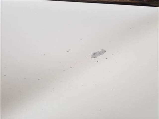 Foto 3ª: Capot Renault Kangoo 1.5 AUTHENTIQUE [1.5 LTR. - 50 KW DCI DIESEL] [K9K A8]