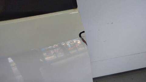 Foto 2ª: Puerta Delantera Derecha Citroen Berlingo LIVE EDITION 75CV 55KW [BH02] (2017)