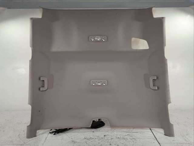 Techo Interior Citroen C4 1.2 12V E-THP PICASSO 131CV 96KW