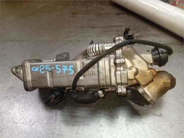 Valvula EGR Bmw Serie 5 518 2.0 525 D [2.0 LTR. - 160 KW TURBODIESEL]