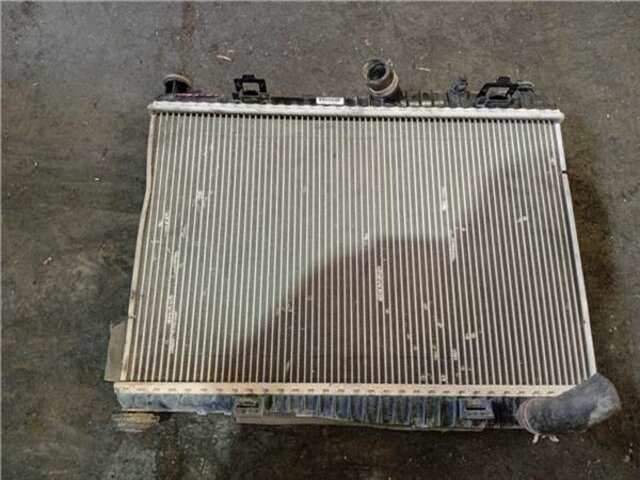 Radiador Motor Ford Fiesta 1.25 BLACK EDITION [1.25 LTR. - 60 KW 16V CAT]