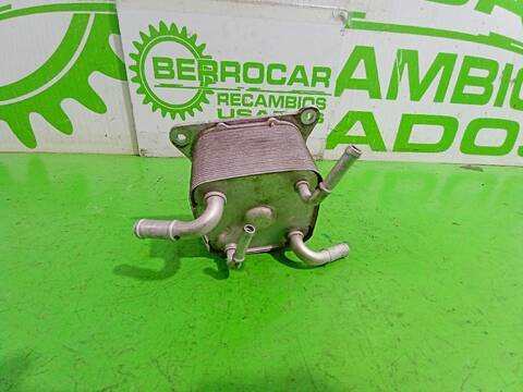 Foto 3ª: Radiador Aceite Nissan Juke ACENTA AUT. 117CV [HR16DE] (2010)