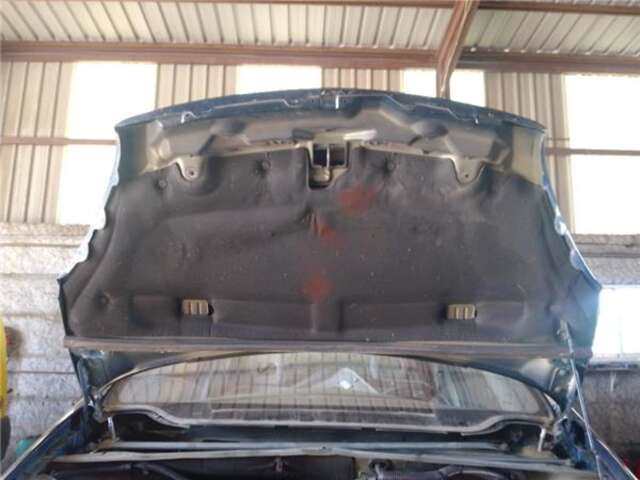 Foto 3ª: Capot Citroen Xsara 2.0 HDI [RHY (DW10TD)]