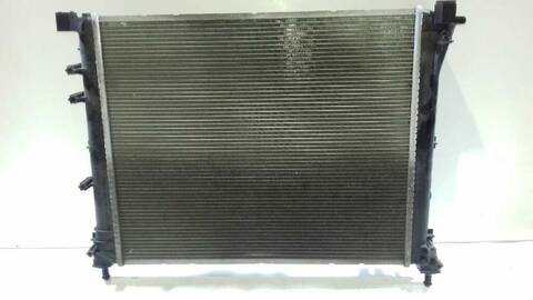 Foto 2ª: Radiador Motor Fiat 500 LOUNGE 75CV 55KW [1691000] (2009)