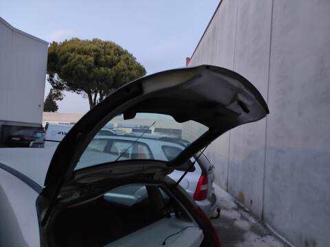 Portón Citroen C3 8HZ