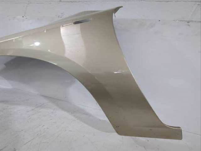 Foto 3ª: Aleta Delantera Izquierda Kia Carens 2.0 CRDI 140 140CV [D4EA] (2006)