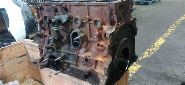 Foto 3ª: Bloque Motor Peugeot 3008 2.0 PREMIUM [2.0 LTR. - 120 KW 16V HDI FAP] [RHH]