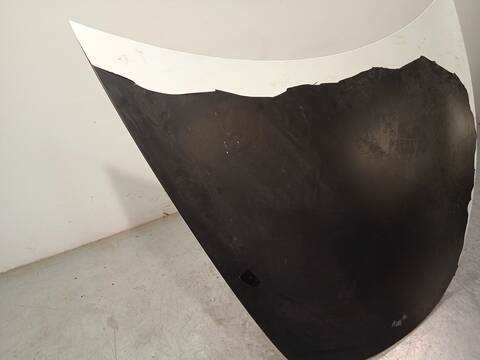 Foto 4ª: Capot Tesla Model 3 EV 238CV 175KW [3D6] (2021)