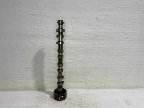 Arbol de Levas Renault Megane DYNAMIQUE 116CV