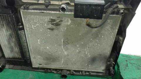 Foto 2ª: Radiador Motor Citroen C8 2.0 HDI FAP CAT 107CV 79KW [RHT] (2002)