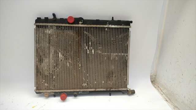 Foto 3ª: Radiador Motor Peugeot 206 2.0 GASOLINA [G/RFN] (2002)