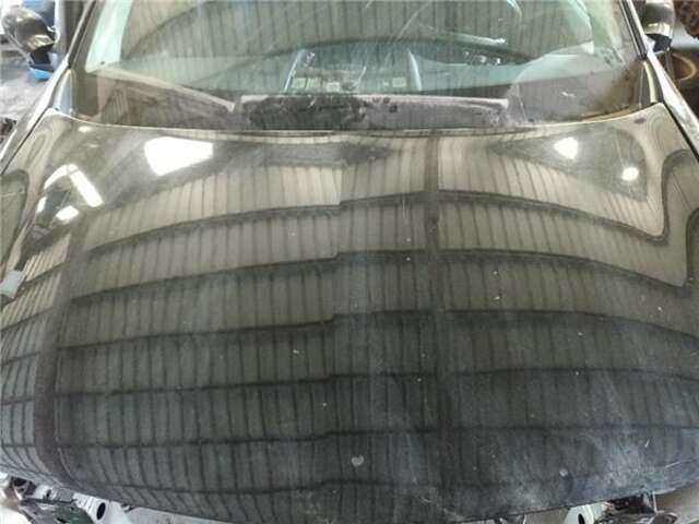 Capot Renault Megane 1.5 AUTHENTIQUE [1.5 LTR. - 78 KW DCI DIESEL] II BERLINA 5P (10.2002-_)