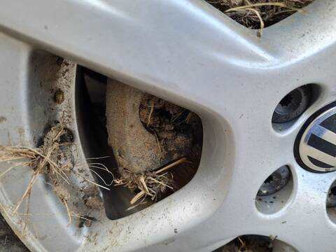 Pinza Freno Delantera Izquierdo Volkswagen Polo ADVANCE 90CV 66KW