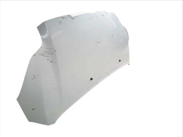 Foto 2ª: Capot Ford Focus 1.0 ECOBOOST (2010)