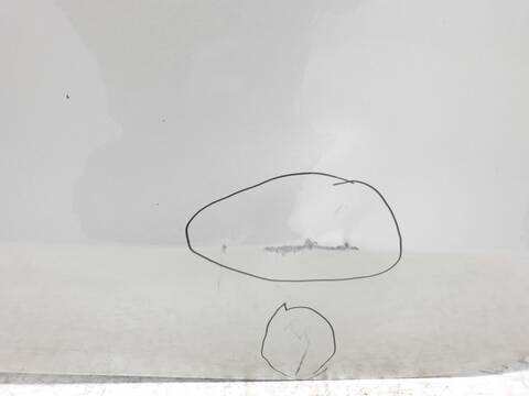 Foto 3ª: Puerta Trasera Izquierda Audi A5 2.0 16V TDI 177CV [CGLC] (2009)