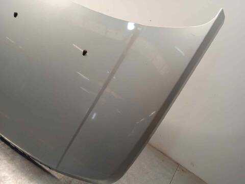 Foto 3ª: Capot Land Rover Range 3.6 TD V8 272CV 200KW [368DT] (2009)