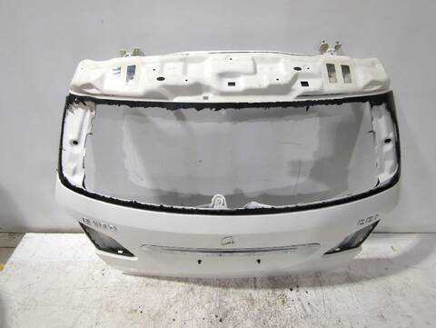 Portón Mercedes Clase B 150 B 180 CDI - D 246.212) 109CV