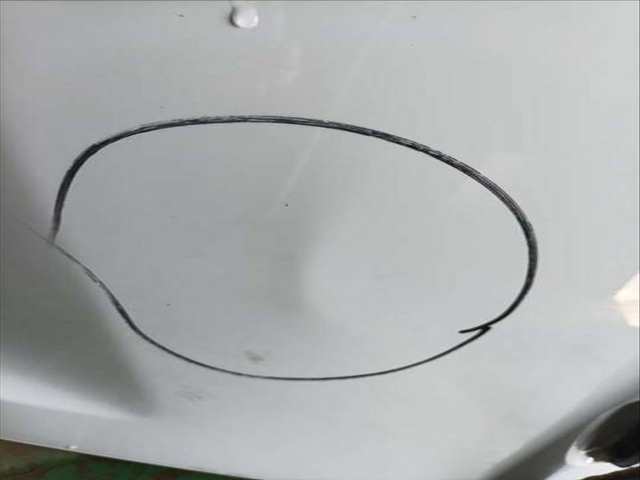 Foto 3ª: Puerta Trasera Izquierda Dacia Sandero STEPWAY 90CV 66KW [H4B408] (2019)