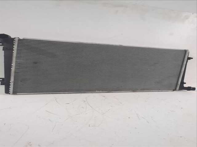 Foto 3ª: Radiador Motor Seat Leon 1.9 TDI 105CV 77KW [BKC,BLS,BXE] (2009)