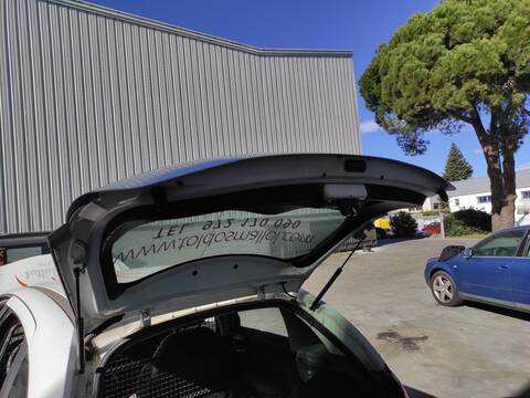 Portón Citroen C3 8HR