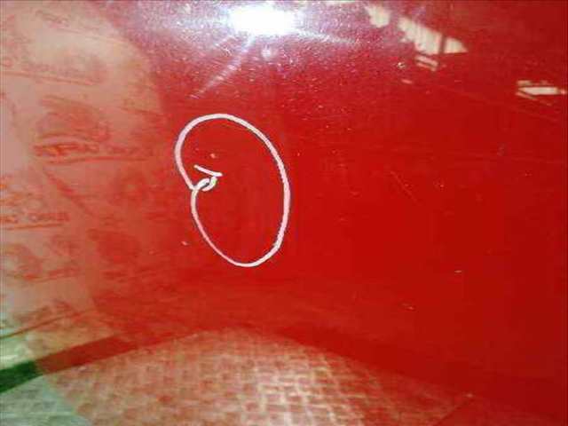 Foto 2ª: Capot Opel Astra SPORT 101CV 74KW [Z17DTH] (2007)