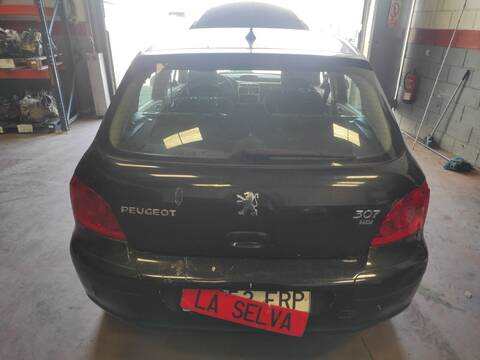 Portón Peugeot 307 9HY BERLINA