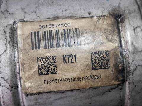 Filtro Particulas Citroen C3 1.6 BLUEHDI 100 2CBHYB) AIRCROSS 99CV 73KW