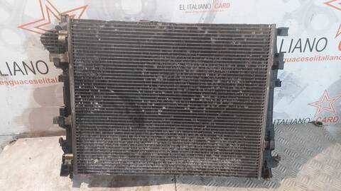 Foto 4ª: Radiador Motor Renault Trafic L1H2 2 9T CAJA CERRADA TECHO ELEVADO CORTO 114CV 84KW [M9R E7] (2007)