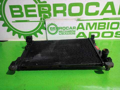 Foto 2ª: Radiador Motor Fiat Bravo 1.9 DYNAMIC MULTIJET 120CV [192A8000] (2007)