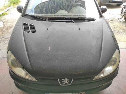 Capot Peugeot 206 KFW