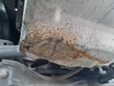 Motor Completo Seat Leon ERENCE 110CV 81KW