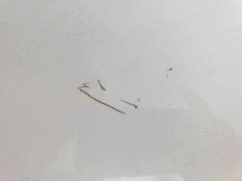 Foto 2ª: Portón Bmw X1 XDRIVE18D XLINE (2015)