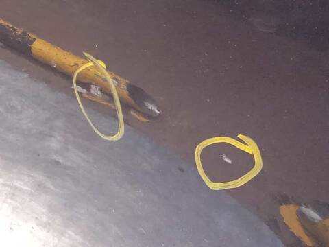 Foto 4ª: Puerta Trasera Izquierda Kia Sportage DRIVE 4X2 135CV 99KW [G4FD] (2014)