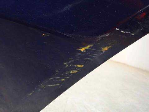 Foto 3ª: Puerta Trasera Izquierda Hyundai Santa Fe 2.2 CRDI CAT 155CV 114KW [D4EB] (2008)