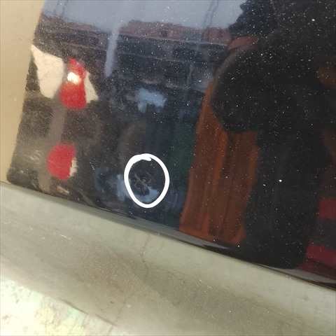 Foto 3ª: Puerta Delantera Izquierda Bmw Serie 3 320 0.1 E90 (2007)