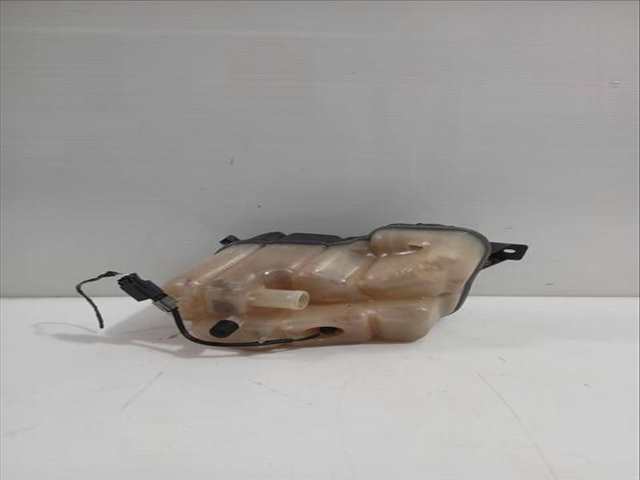 Foto 3ª: Deposito Expansion Land Rover Freelander 2.2 TD4 4X4 160CV 118KW [224DT(DW12BTED4),DW12BTED4] (2007)