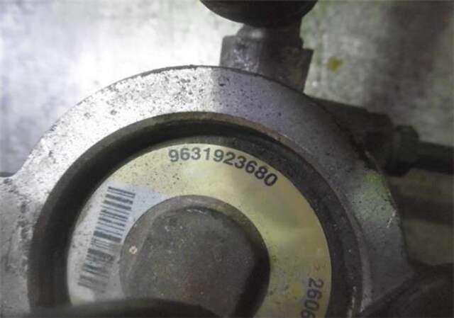 Foto 3ª: Bomba Servodireccion Citroen Berlingo 1.9 D (MFWJZ) [WJZ (DW8)]