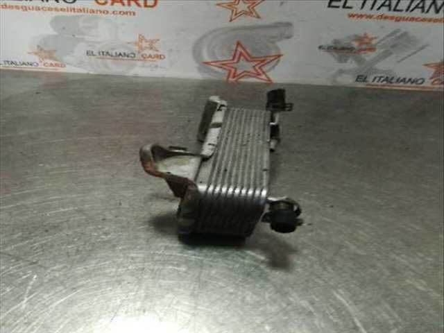 Foto 3ª: Radiador Aceite Mercedes Clase ML 270 CDI 163.113) W163) [D612963] (2004)