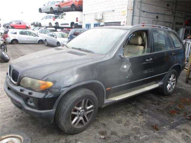 Amortiguador Delantero Izquierdo Bmw X5 3.0 TD 160KW (E53) CAT