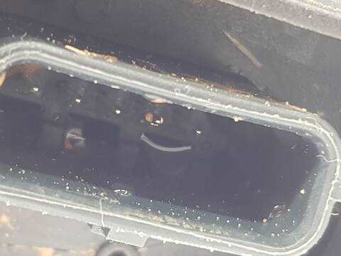 Foto 2ª: Alternador Renault Arkana TECHNO