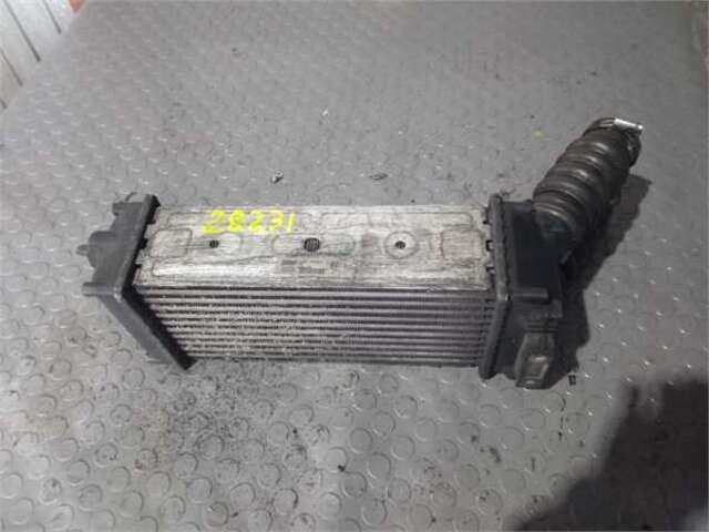Intercooler Peugeot 307 1.6 HDI 110