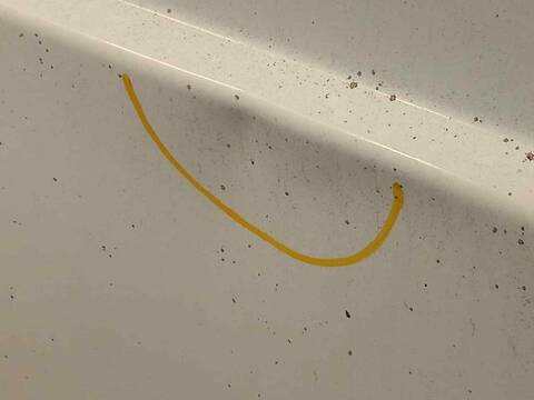 Foto 3ª: Puerta Lateral Corredera Derecha Nissan NV200 1.5 DCI CAT [K9K646] (2009)