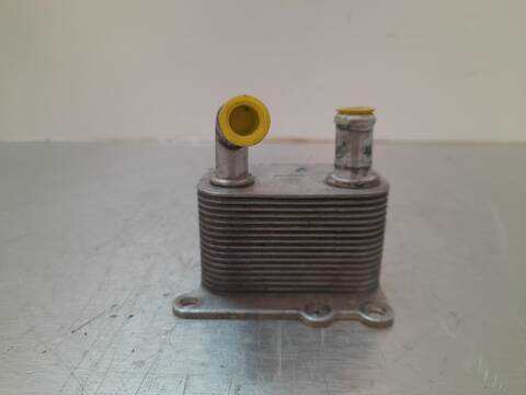 Radiador Aceite Ford Focus AMBIENTE BERLINA 90CV 66KW