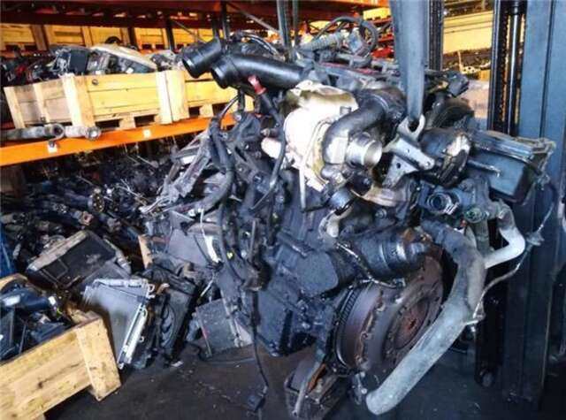 Foto 2ª: Radiador Aceite Fiat Scudo 1.6HDI [9HU]