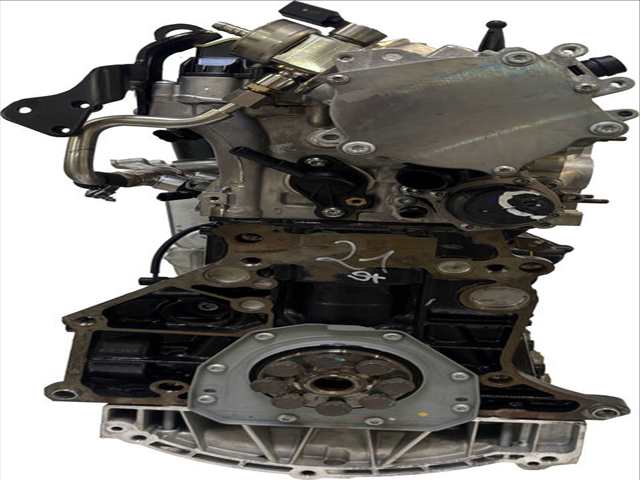 Foto 2ª: Motor Completo Volkswagen Tiguan 186CV 137KW [DTEA DTE] (2021)