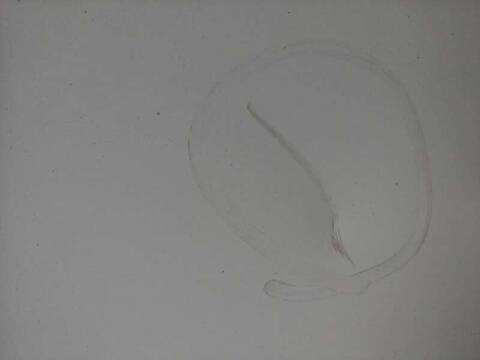 Foto 2ª: Puerta Delantera Derecha Peugeot Boxer 335 L2 BLUEHDI 130 130CV 96KW CAMION [AH03] (2018)