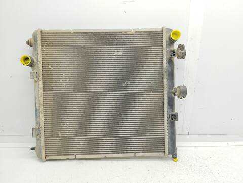 Foto 2ª: Radiador Motor Peugeot 207 CONFORT 68CV 50KW [D-8HZ] (2010)