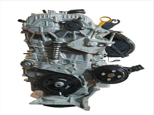 Motor Completo Kia Niro MK1 141CV 104KW