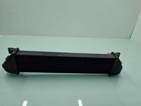 Foto 3ª: Intercooler Land Rover Freelander 2.0 TD4 CAT 112CV 82KW (2006)
